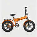 Orange-ENGWE EP-2 Boost E-Bike