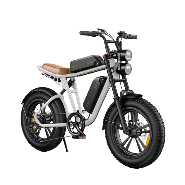 Vélo électrique de style moto M20
