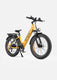 E26 Electric Electric Bike