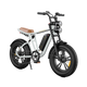 Vélo électrique de style moto M20