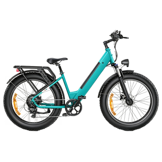 ENGWE E26 Elektrofahrrad