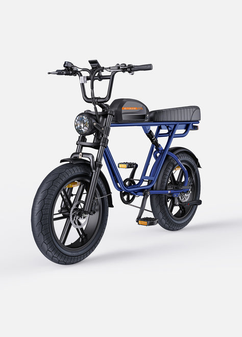 M1 Motorcycle-styled Electric Bike