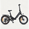 Schwarz-ENGWE L20 3.0 Boost E-Bike